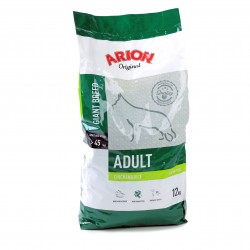 ARION Original Adult Giant
