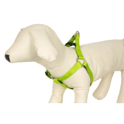 CHICO DUO Szelki dwukolorowe 50cm