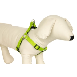 CHICO DUO Szelki dwukolorowe 50cm