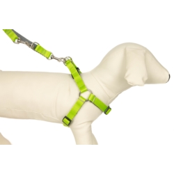 CHICO DUO Szelki dwukolorowe 50cm