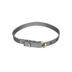 Chico Obroża TAŚMA 10mm/32cm