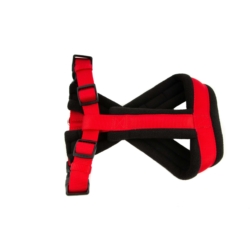 Chico TREND Szelki PREMIUM Czerwone