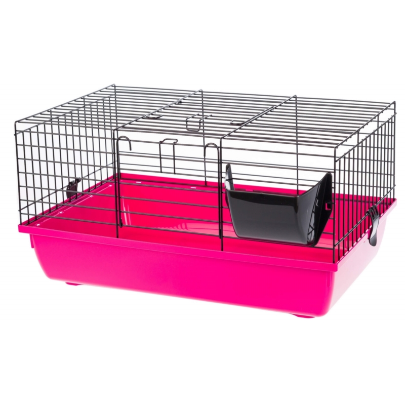 INTER-ZOO RABBIT 60 color