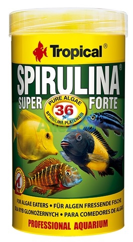 TROPICAL Spirulina Forte 36%  250ml